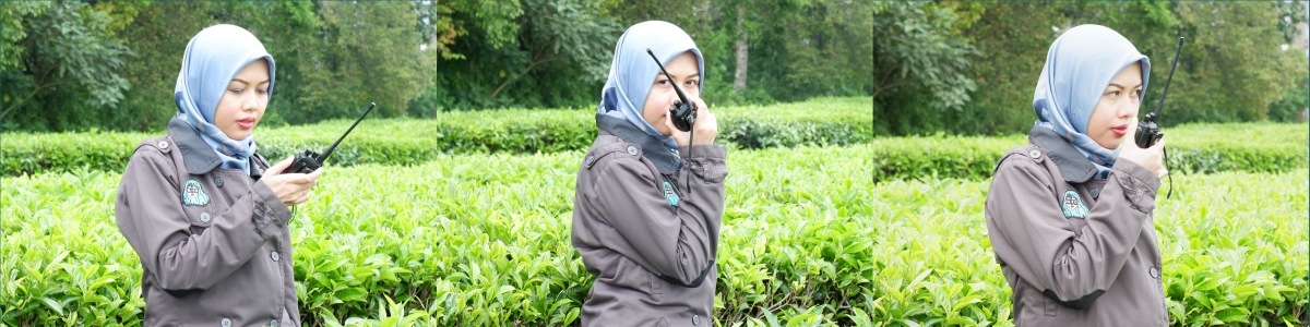 Header Sewa HT Murah